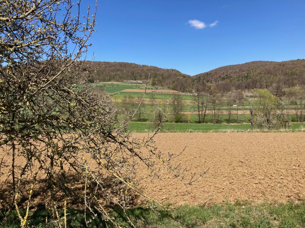Landscape Franconia